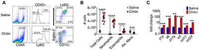 Reciprocal Inhibition of Adiponectin and Innate Lung Immune Responses to Chitin and Aspergillus fumigatus